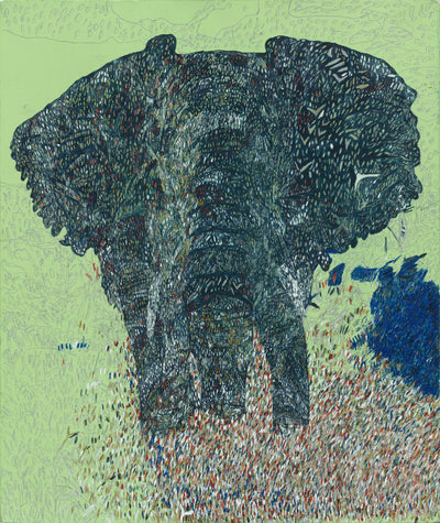 アフリカゾウ
