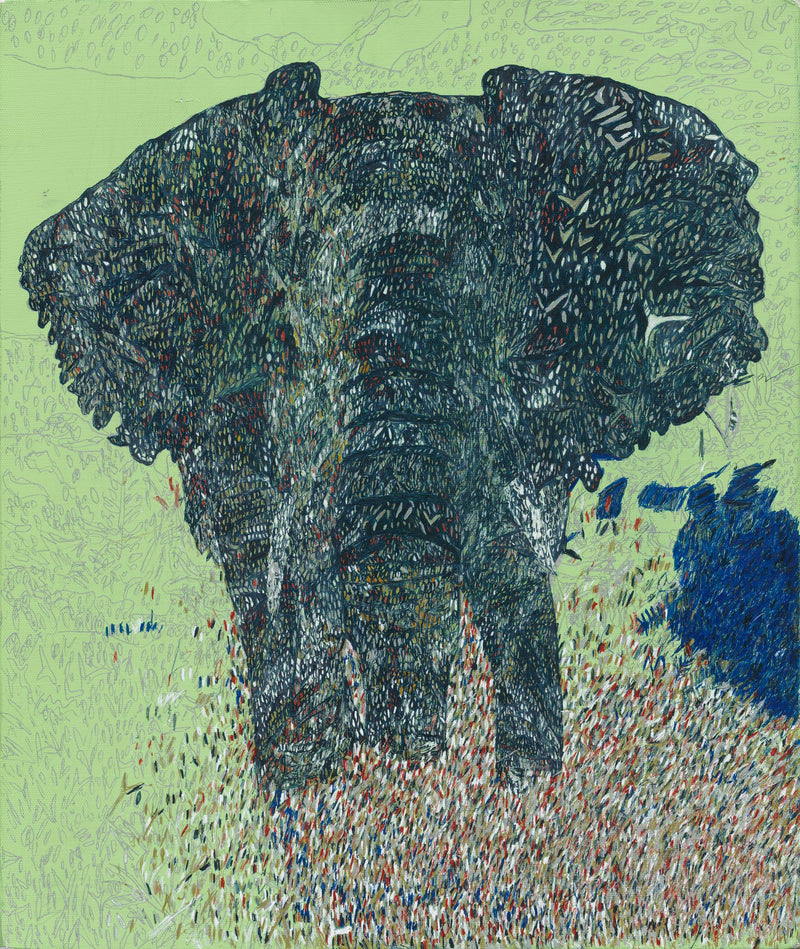 アフリカゾウ